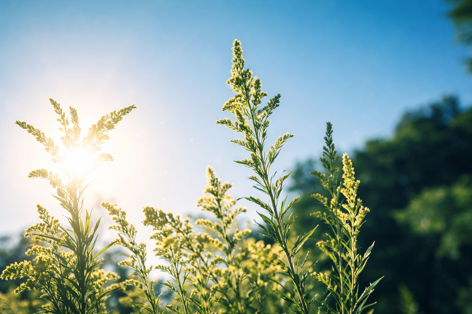 Electric Vehicle & Photovoltaics