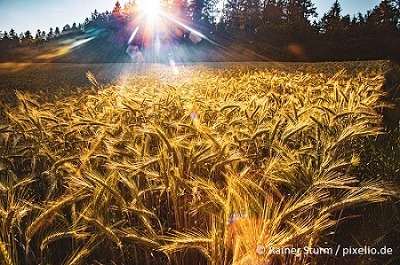 Förderung Photovoltaik in der Landwirtschaft in Sicht